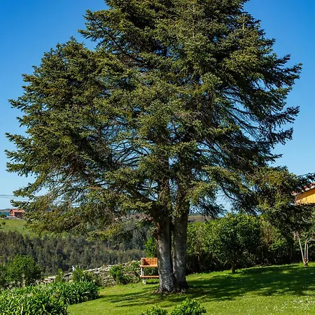 بيت للعطل Tolombreo Casa Gabriel *